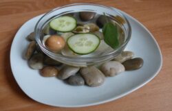 Wasser Spiel für die Katze zum Planschen