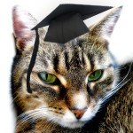 Wissenschaftliche Arbeiten und Google Tipps