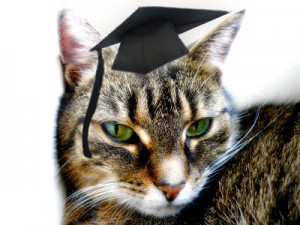 Wissenschaftliche Arbeiten Tipps und Tricks Wissenschaftliche Arbeiten