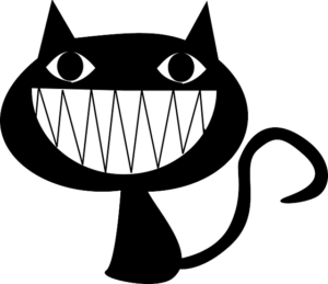 Lustige Katzenvideos