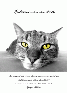 Katzen Monatskalender