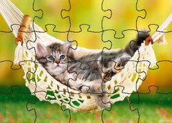 Katzen Puzzlespiele