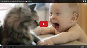 Katzen und Babys