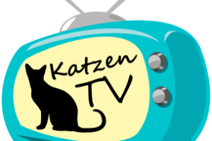 Katzenvideos