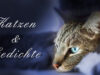 Gedichte – Katzen sind Poesie!