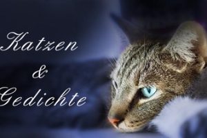 Gedichte – Katzen sind Poesie!