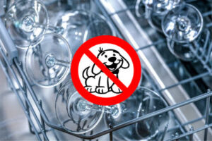 Geschirr stinkt nach nassem Hund