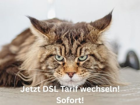 DSL-Vergleichsrechner