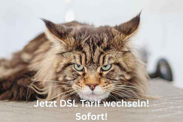 DSL-Vergleichsrechner