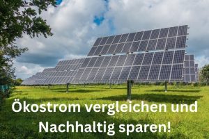Ökostrom: Gutes tun für die Umwelt und ordentlich Geld sparen