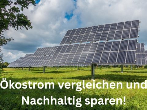 Ökostrom-Tarife vergleichen und Bonus sichern!